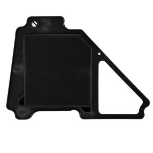 Filtru aer Yamaha YBR 125 (05-12) - YBR 125 ED (14) 4T AC 125cc (Nypso)