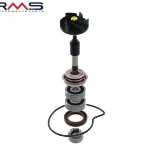Kit pompa apa Piaggio Carnaby - MP3 - X7 - Vespa GTS - GTV 4T 250cc - Piaggio Beverly RST - MP3 - Vespa GT - GTS - GTV 4T 300cc
