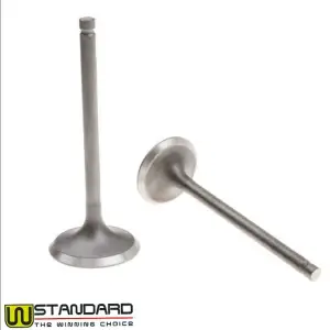 Set supape Honda CG125 - ATV-uri si motociclete 125cc (W Standard)