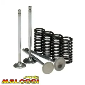 Set supape + arcuri Malossi - Aprilia Scarabeo - Gilera Runner VX-VXR - Piaggio Beverly - X9 - Vespa GTS 4T 125-250-300cc (set 4 supape)