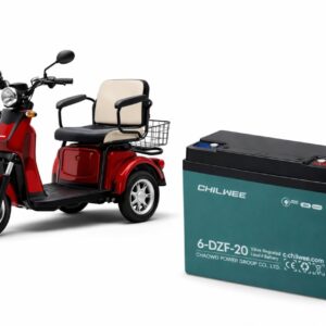 Acumulator vehicule electrice 6-DZF-20 (12V 20Ah)