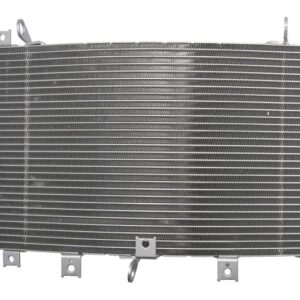 Radiator pentru SUZUKI GSX 1300/1340 1999-2017