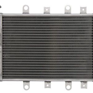 Radiator pentru YAMAHA YFM 550/700 2009-2014