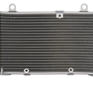 Radiator pentru HONDA CBF 1000 2006-2010