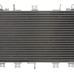 Radiator pentru KAWASAKI Z, ZR 1000 2003-2006