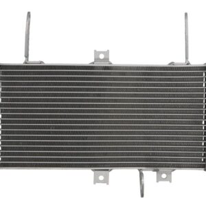 Radiator pentru SUZUKI SV 650 2005-2015