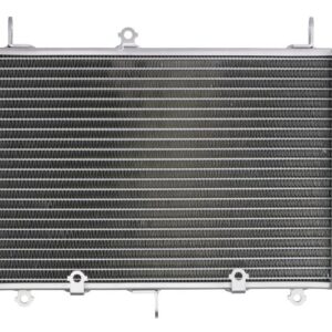 Radiator pentru YAMAHA FZS 1000 2001-2005