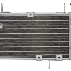 Radiator pentru SUZUKI SV 650 1999-2002