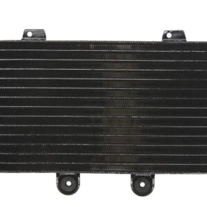 Radiator pentru SUZUKI GSF 1200 2001-2006