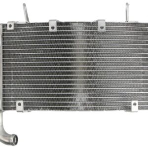 Radiator pentru DUCATI 749, 999 749/999 2003-2006