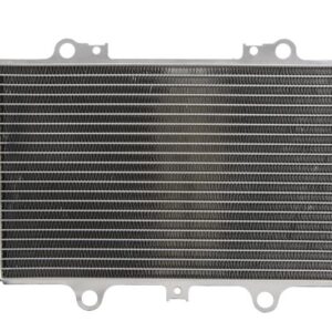 Radiator pentru Yamaha YFM 660 - 2002-2008