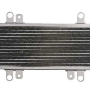 Radiator pentru Kawasaki EX / Ninja 250, 2008-2012