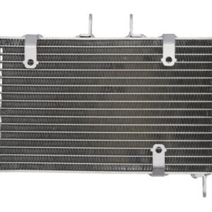 Radiator pentru HONDA NT 650 1998-2005