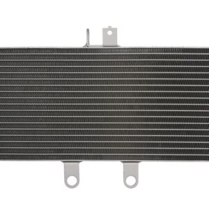 Radiator pentru SUZUKI GSF, GSX 650/1250 2007-2016