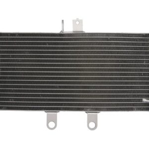 Radiator pentru SUZUKI GSF 650 2007-2013