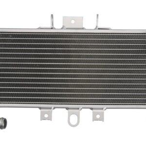 Radiator pentru YAMAHA FZS 600 1998-2004