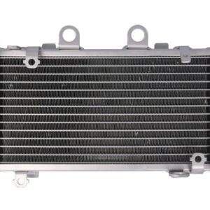Radiator dreapta pentru HONDA XL 1000 1999-2006