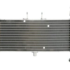 Radiator pentru APRILIA RS, RS4, TUONO; DERBI GPR 50/125 2009-2023