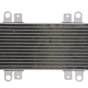 Radiator pentru KAWASAKI EX 300 2013-2017