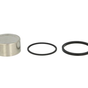 Pistoane pentru etrier fata/spate (diametru interior: 37,25mm/diametru exterior: 42,8mm/inaltime: 21,15mm, cu etansanti) pentru YAMAHA FJ, FZ, FZR, GTS, TDM, TRX, VMX-12 400-1200 1984-2005