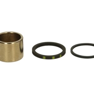 Pistoane pentru etrier fata (cu etansanti) pentru HONDA CBR, VTR 900/1000 1993-2006