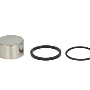 Pistoane pentru etrier fata (cu etansanti) pentru YAMAHA XV, XVZ 1100/1200 1983-1992