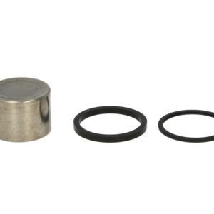 Pistoane pentru etrier fata (cu etansanti) pentru YAMAHA FJ, FZR, TDM, TRX, XJR 750-1200 1987-1996