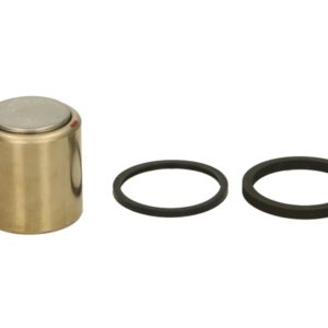 Pistoane pentru etrier fata (cu etansanti) pentru HONDA CBR, NT, VFR 650/750/1000 1986-1990