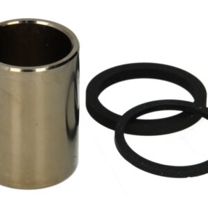 Pistoane pentru etrier fata/spate (diametru interior: 21,5mm/diametru exterior: 25,3mm/inaltime: 35,2mm, cu etansanti) pentru HONDA CBR, GL, VFR, XL 800-1800 1996-2005