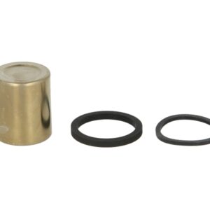 Pistoane pentru etrier fata (cu etansanti) pentru YAMAHA XTZ 750 1989-1995
