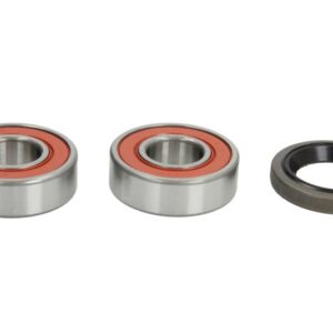 Kit rulment roata fata (cu garnitura) pentru SUZUKI AN, DR 250-800 1990-2008