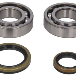 Set lagare arbore cotit pentru BETA EVO 250/300 2009-2021