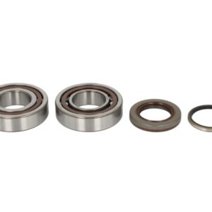 Lagare cu arbore cotit set cu garnituri pentru KTM SX-F, XC-F, XCF-W 250 2005-2012