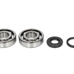 Lagare cu arbore cotit set cu garnituri pentru HUSQVARNA CR, SM, WR 125/250/300 1998-2013