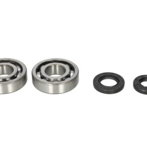 Lagare cu arbore cotit set cu garnituri pentru KAWASAKI KDX, KX 250 1987-2001