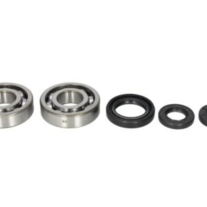Lagare cu arbore cotit set cu garnituri pentru YAMAHA YZ 250 1998-2000