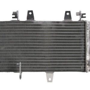 Radiator pentru BMW F 650/700/800 2004-2018