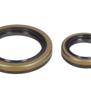 Set garnituri arbore cotit pentru BETA EVO 250/300 2009-2021