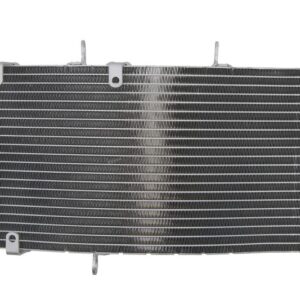 Radiator pentru HONDA CBR 900 2002-2003