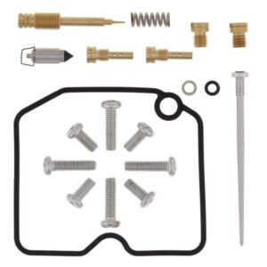 Kit reparatie carburator; pentru numarul de carburatoare 1 (pentru uz sportiv) pentru ARCTIC CAT ARCTIC CAT 366 2008-2011