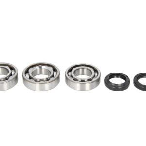 Lagare cu arbore cotit set cu garnituri pentru POLARIS BIG BOSS, HAWKEYE, TRAIL BOSS, XPLORER, XPRESS 250/300 1994-1999