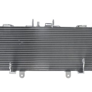 Radiator pentru BMW R 1200/1250 2014-2024