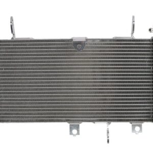 Radiator pentru SUZUKI SV 650 2017-2020