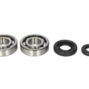 Lagare cu arbore cotit set cu garnituri pentru YAMAHA YZ 250 2001-2018