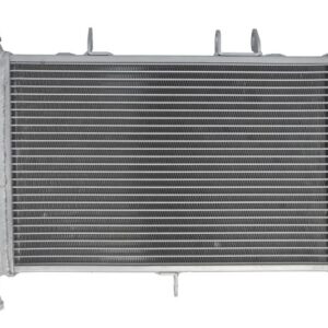 Radiator pentru YAMAHA MT-09, XSR 850/900 2016-2021