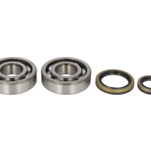 Lagare cu arbore cotit set cu garnituri pentru SUZUKI RM 250 1996-2002