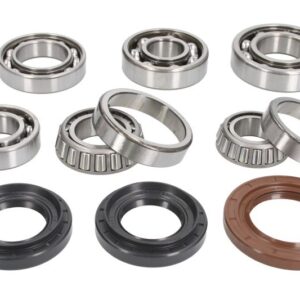 Set de rulment diferential si garnitura Spate pentru YAMAHA KODIAK, YFM 700 2016-2022