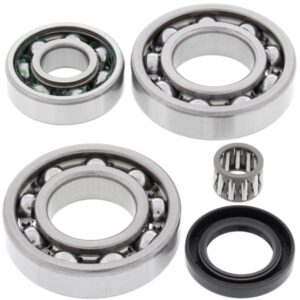 Set de rulment diferential si garnitura Spate pentru KAWASAKI KLF 220/250 1988-2011