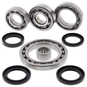Set de rulment diferential si garnitura Spate pentru SUZUKI LT-A 500 2001-2002