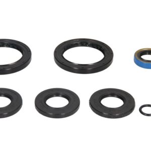 Set sigiliu de transmisie pentru POLARIS SPORTSMAN, DIESEL 335-500 2000-2004